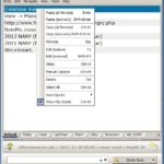 Ethervane Echo: Multi-Featured Clipboard Manager